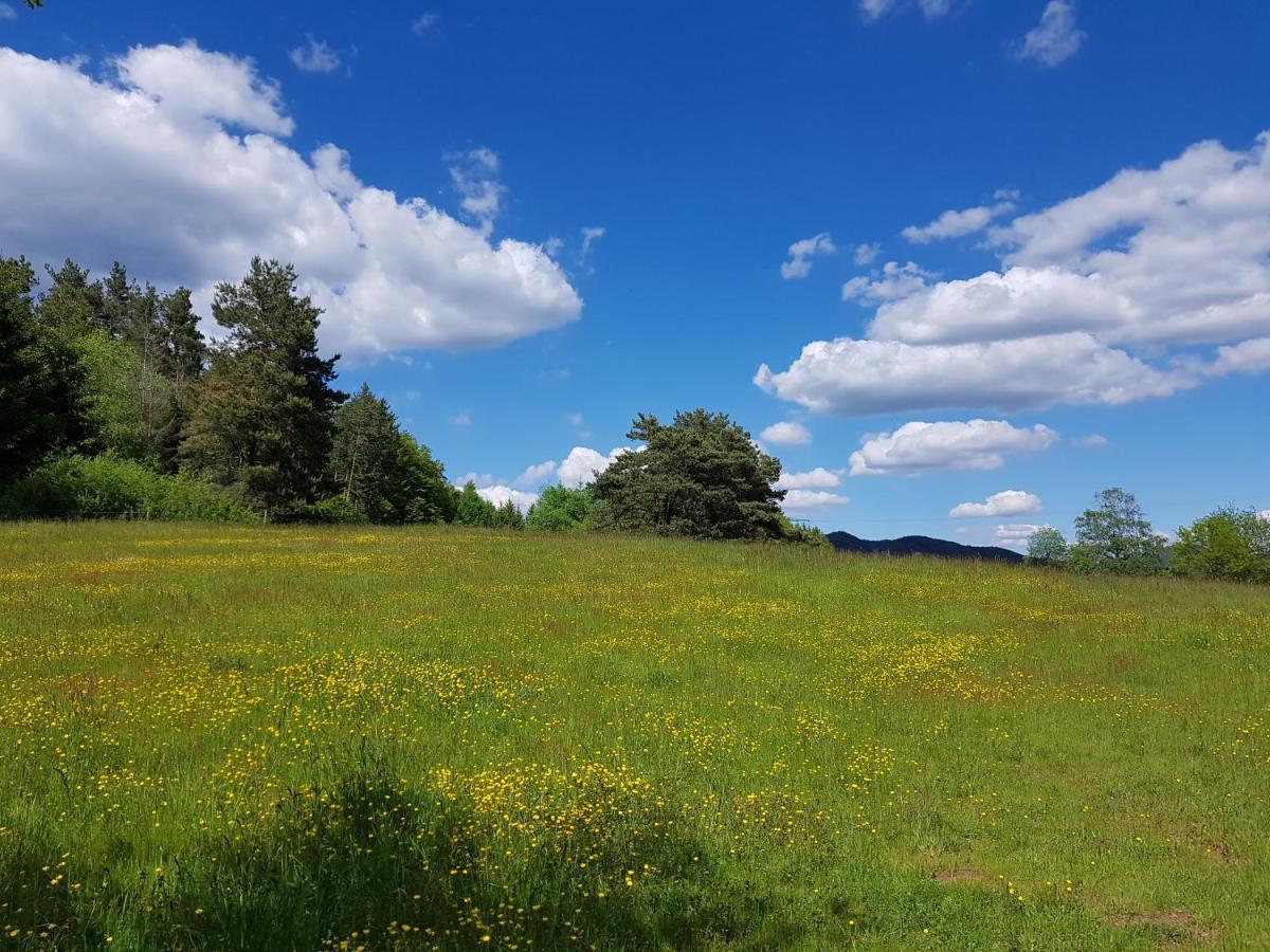 Hoellenbergblick Spirkelbach Εξωτερικό φωτογραφία