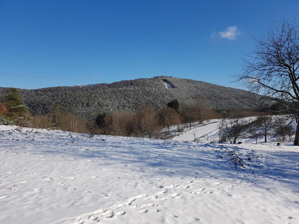 Hoellenbergblick Spirkelbach Εξωτερικό φωτογραφία